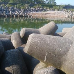 キス釣れましたー