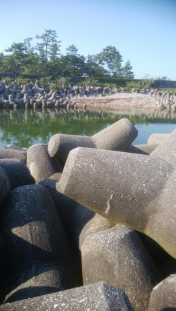 キス釣れましたー