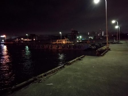 南港フェリーのヘチ釣り (小キビレ釣果のみです)