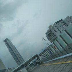 南港シーサイドコスモでサビキ好調