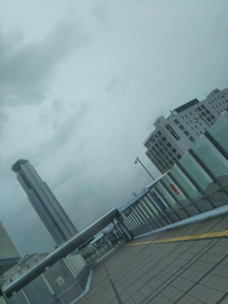 南港シーサイドコスモでサビキ好調