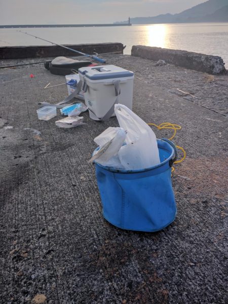 セイゴ、アジその他