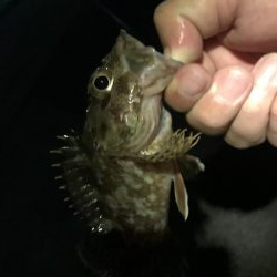 ガッシーマンション2nd