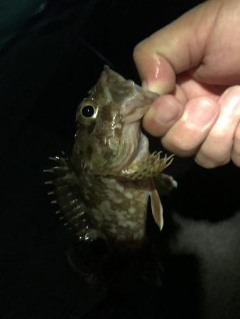 ガッシーマンション2nd