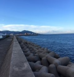 ショアジギング