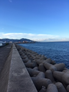 ショアジギング