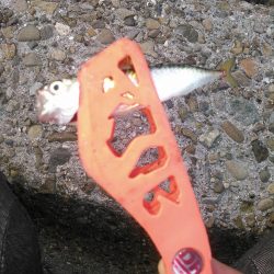 ライトショアジギング