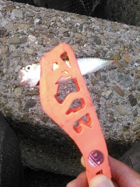 ライトショアジギング