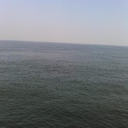 ライトショアジギング