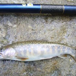 雨上がりの渓谷にて