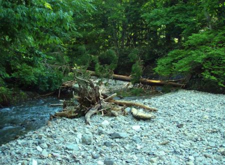 渓流ミノーイング