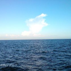 半夜のチヌ狙い