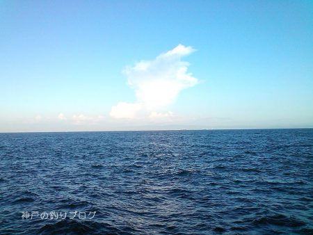 半夜のチヌ狙い