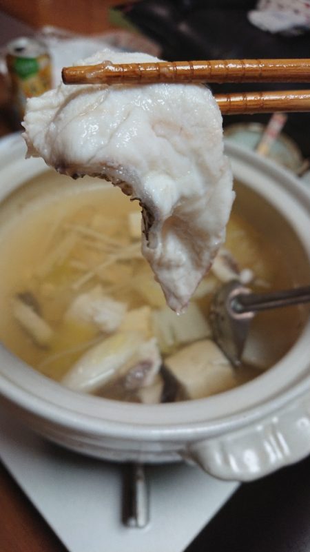 五目釣りで大鯛(泉州丸)