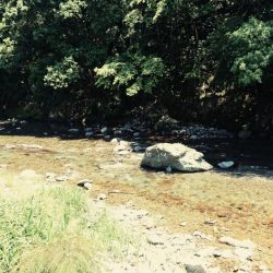 大雨の影響もなく