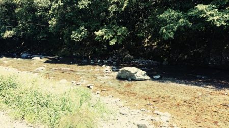 大雨の影響もなく