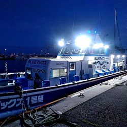 淡路沖の船タコ釣り