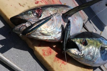 へいみつ丸 釣果