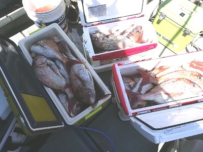 IDATEN（イダテン） 釣果