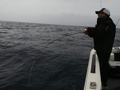 IDATEN(イダテン) 釣果