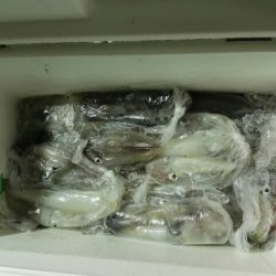 第二大福丸 釣果