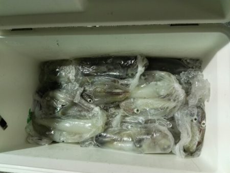 第二大福丸 釣果