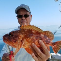 遊漁船　ニライカナイ 釣果