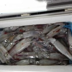 第二大福丸 釣果