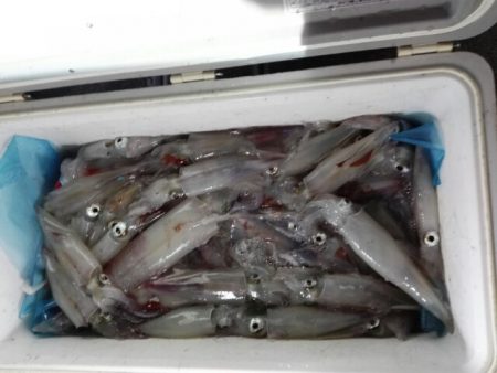 第二大福丸 釣果