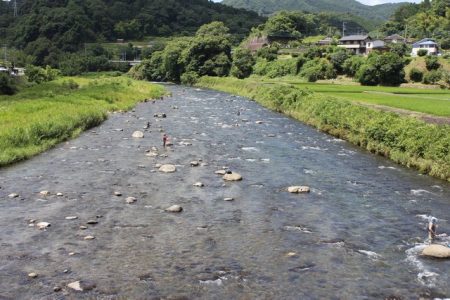 狩野川(狩野川漁業協同組合) 釣果
