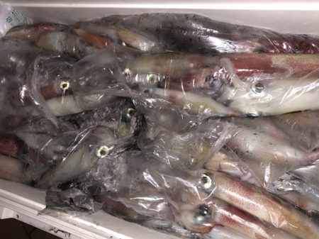幸風（さちかぜ） 釣果
