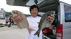 まこと渡船 釣果