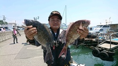 まこと渡船 釣果