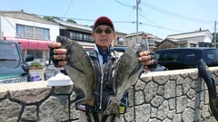 まこと渡船 釣果