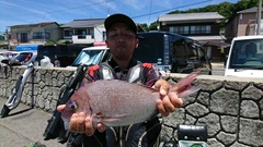 まこと渡船 釣果