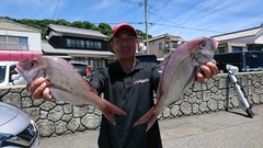 まこと渡船 釣果