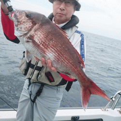 遊漁船ブルーウッズ 釣果