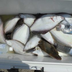 大進丸（新潟） 釣果