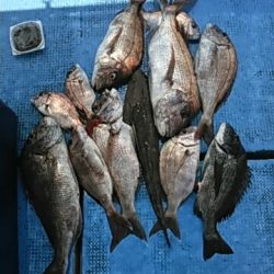 フィッシングガイド りょう 釣果