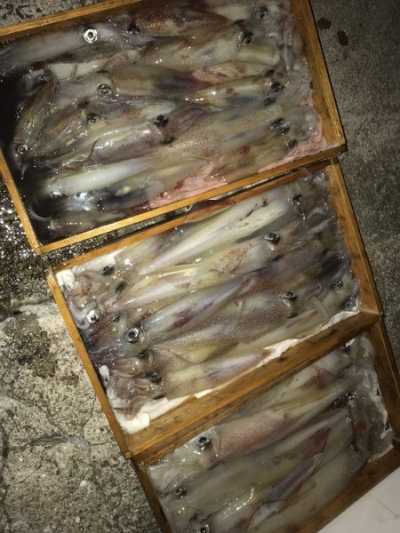 寿裕 （YOSHIHIRO） 釣果