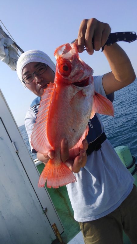 遊漁船 新鋭丸 釣果