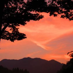 小菅トラウトガーデン 釣果