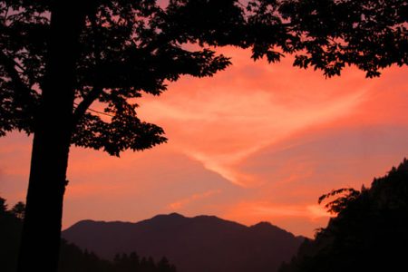 小菅トラウトガーデン 釣果