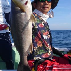 遊漁船 新鋭丸 釣果