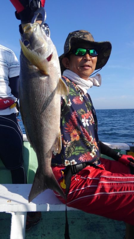 遊漁船 新鋭丸 釣果