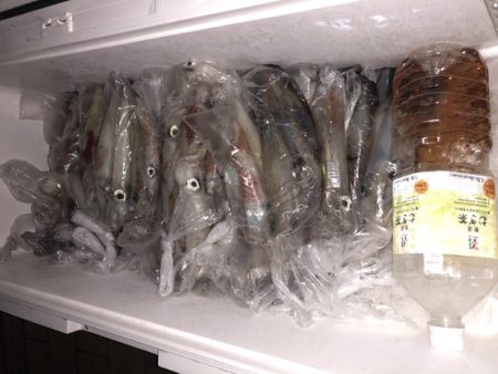 幸風（さちかぜ） 釣果