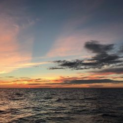 寿裕 （YOSHIHIRO） 釣果