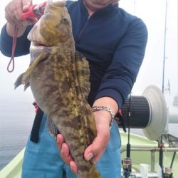 気仙沼　つり丸 釣果