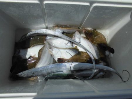 大進丸（新潟） 釣果