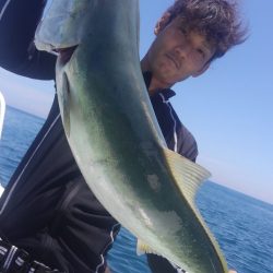 遊漁船 新鋭丸 釣果